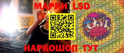 mdma Шебекино