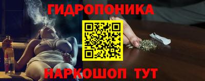 твердый Шелехов